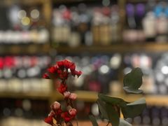 -Wine Universe 宇宙酒馆