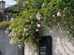 -嘉兴清池酒店温泉
