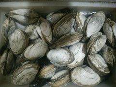 -三乐海鲜水饺馆