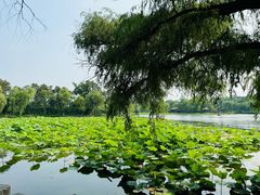 -承德避暑山庄景区