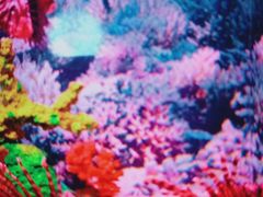 -乌鲁木齐海洋馆