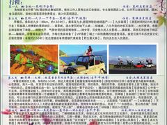 -欢唱KTV(映月湖环宇城店)