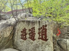 -天津盘山风景名胜区