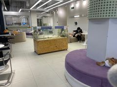 -怪兽屋·羊驼·猫咖·狗咖(俊华广场店)