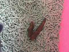 -纳吉亚猫专科动物医院博雅分院