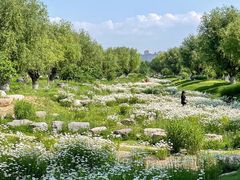 -汉长安城未央宫国家考古遗址公园