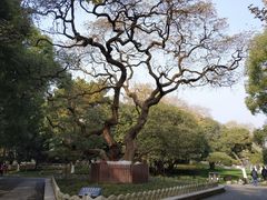 -东湖听涛景区