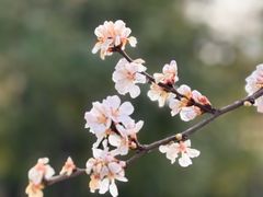 -白塘生态植物园