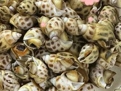 -天鹅到家·保姆月嫂育儿嫂(天河店)