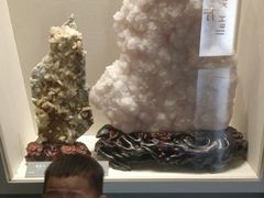 -安徽省地质博物馆