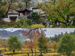 -塔川景区