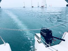 -海豚湾扬帆出海帆船游艇