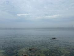 -养马岛旅游度假区