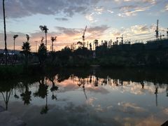 -枫香湖儿童公园