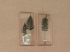 -小泉居(水坑尾店 )