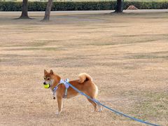 -上海月湖雕塑公园
