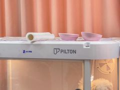 -翊宠yipet猫狗购宠庄园犬舍•猫舍