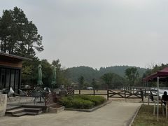 -枫露马术学院(藏书校区)