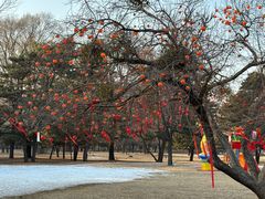 -承德避暑山庄景区