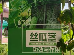 -北戴河集发农业梦想王国