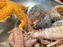 -船梆煮•蒸汽海鲜·炉火烤肉(五四广场店)