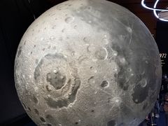 -贝林大翅鲸简餐厅(国家海洋博物馆店)