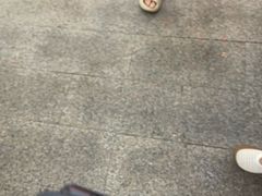 -皮记海鲜1995(寮步店)