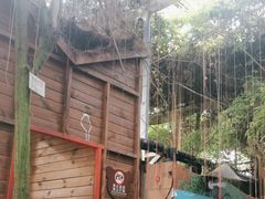 -呀路古热带植物园