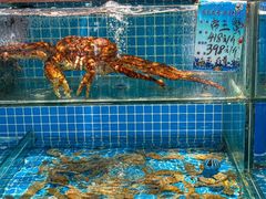 -良师门滨海人家·海鲜·家常菜(滨海城店)