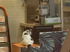 -金茂览秀城