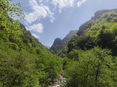 -青峰峡国家森林公园