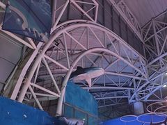 -烟台海昌鲸鲨海洋公园