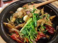 -沙胆彪炭炉牛杂煲(上海日月光广场店)