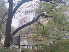 -东湖落雁景区