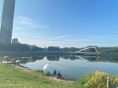 -长白岛森林公园