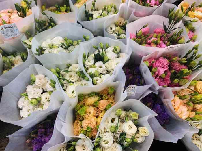 八卦岭花卉中心-"地铁到红岭北下,但是下地铁要走800米左.