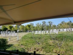 -白鹿原影视城