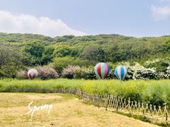 -苏州上方山国家森林公园