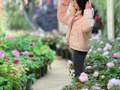 -花之城
