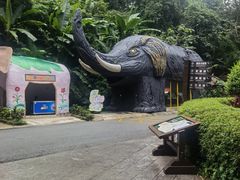 -野象谷景区