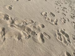 -西涌国际滨海旅游区