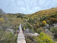 -小五台金河景区