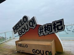 -枸杞岛