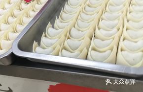 Vegetable and Pork Dumplings