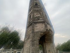 -上海佘山国家森林公园天马山园