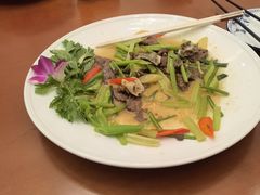 -杨记新泉美食