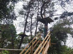 -芦仙山景区-飞越丛林探险乐园