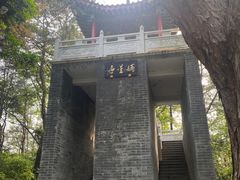 -青龙山国家森林公园