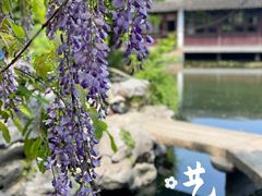 -艺圃