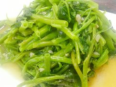清炒时蔬-鑫悦楼煎蟹·16年海鲜大排档